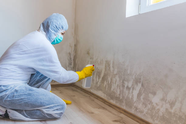 Crawl Space Mold Remediation treatment of floor joists in Hermitage